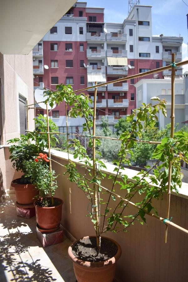 New Apartment Zoe Шкодер Екстер'єр фото